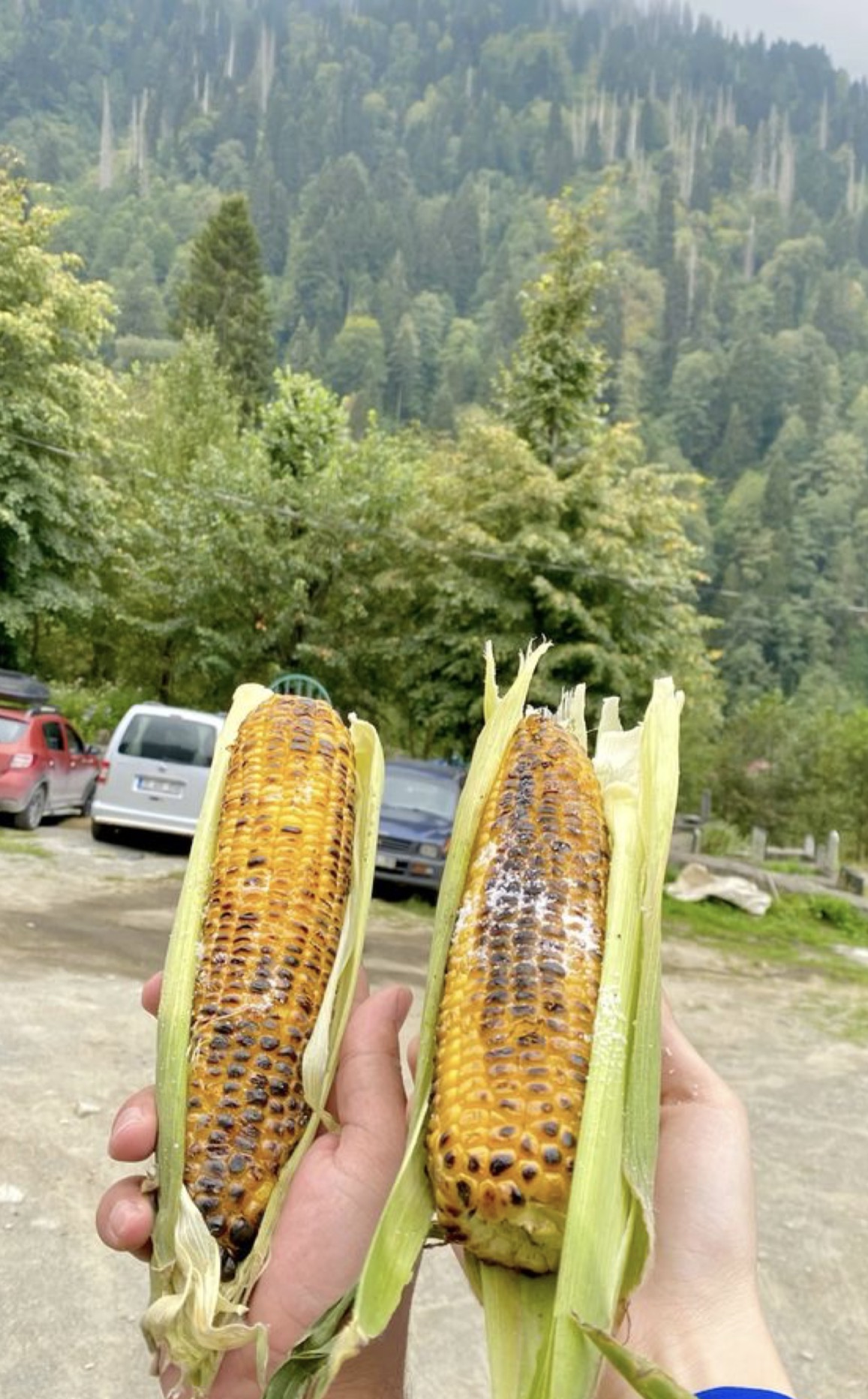 Corn Stop