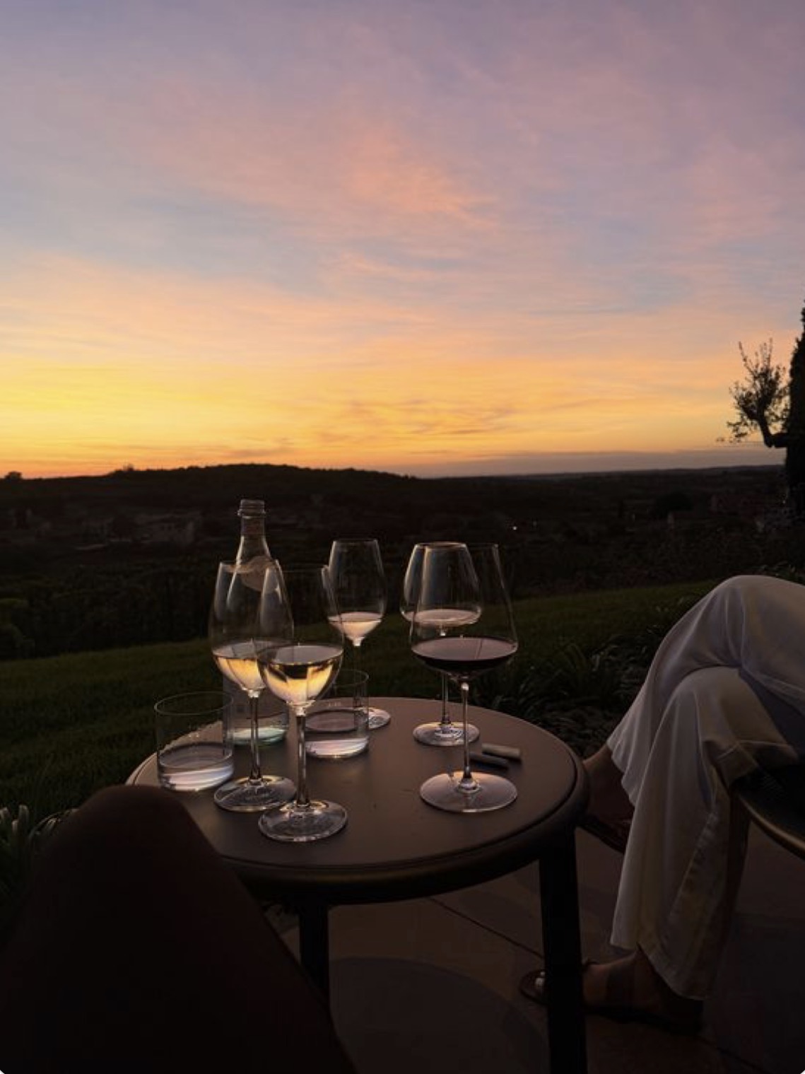 Wine & Networking Evening